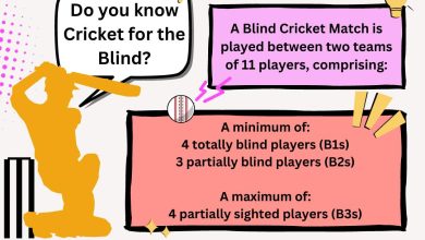 Do you know Cricket for the Blind
