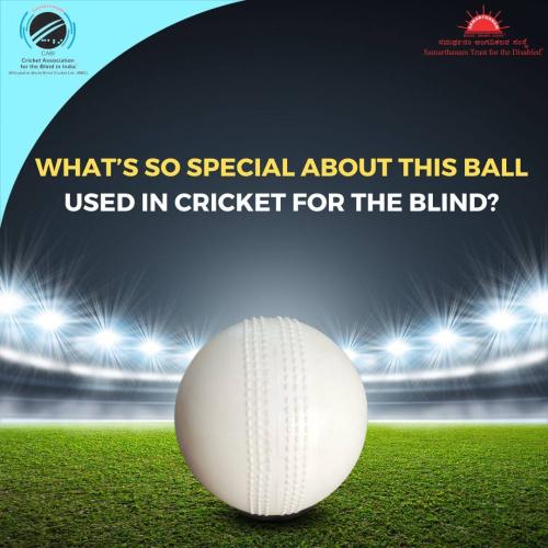 Unveiling the heartbeat of the cricket for the blind-1