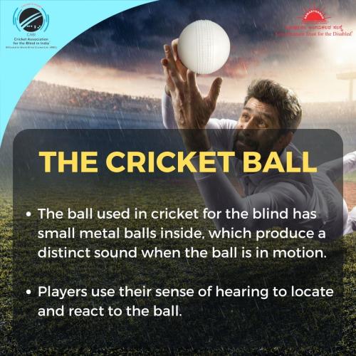 Unveiling the heartbeat of the cricket for the blind-2