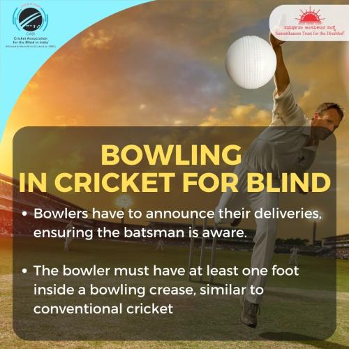 Unveiling the heartbeat of the cricket for the blind-3